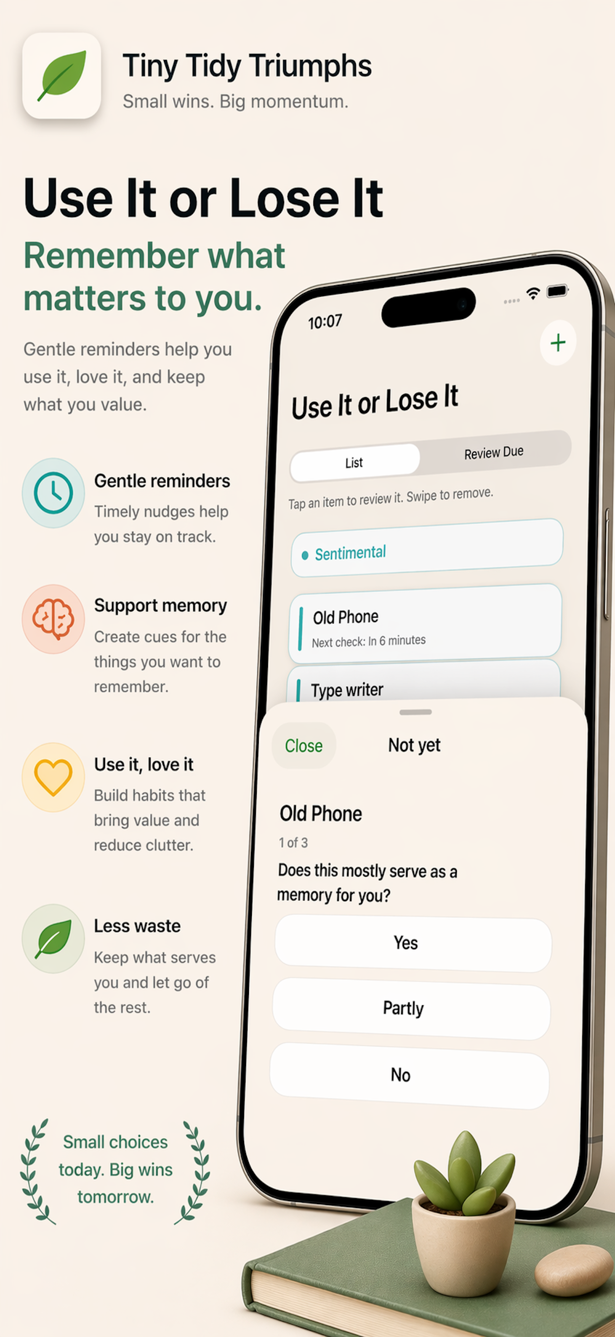Tiny Tidy Triumphs Use It or Lose It app screen